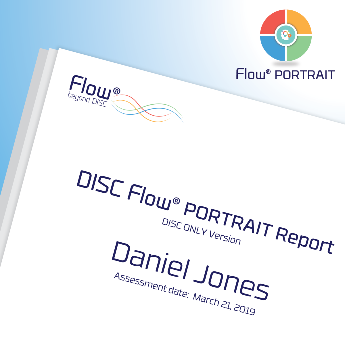 DISC Flow Portrait Report Online Assessment DISC Flow NZ