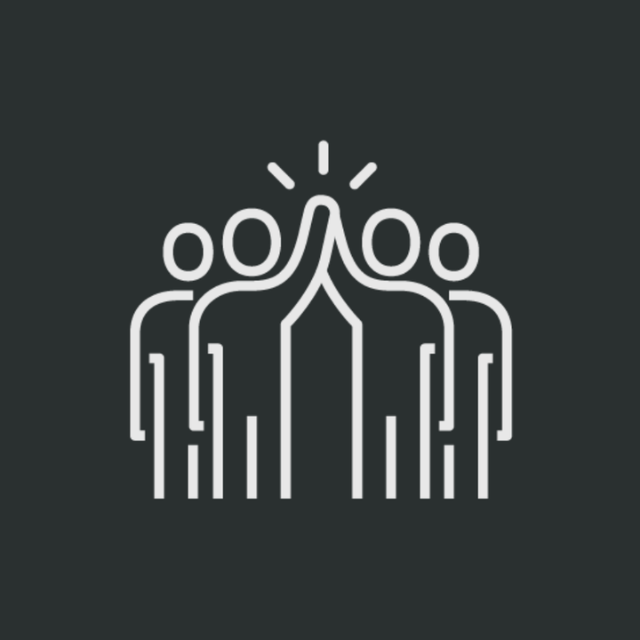 Discflow How it Works – DISC Flow NZ