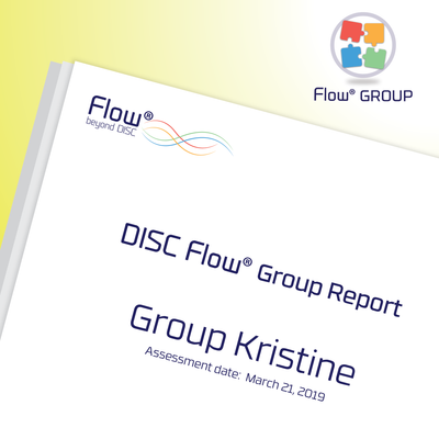 DISC Flow® GROUP Report