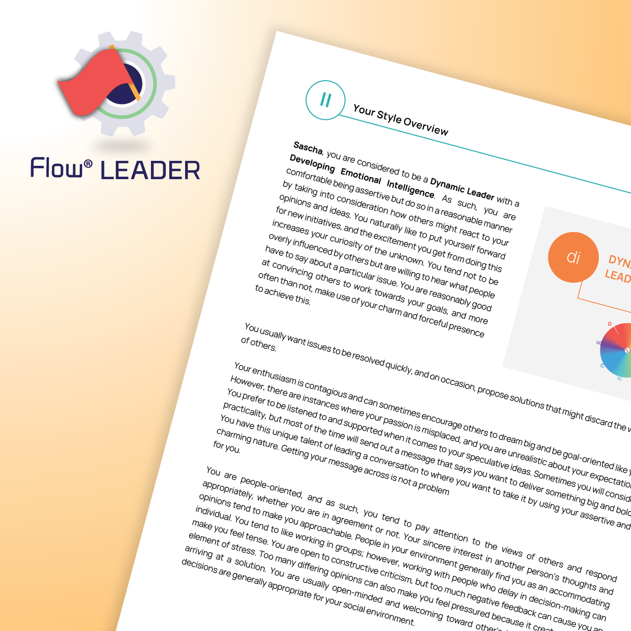 DISC Flow® LEADER Report