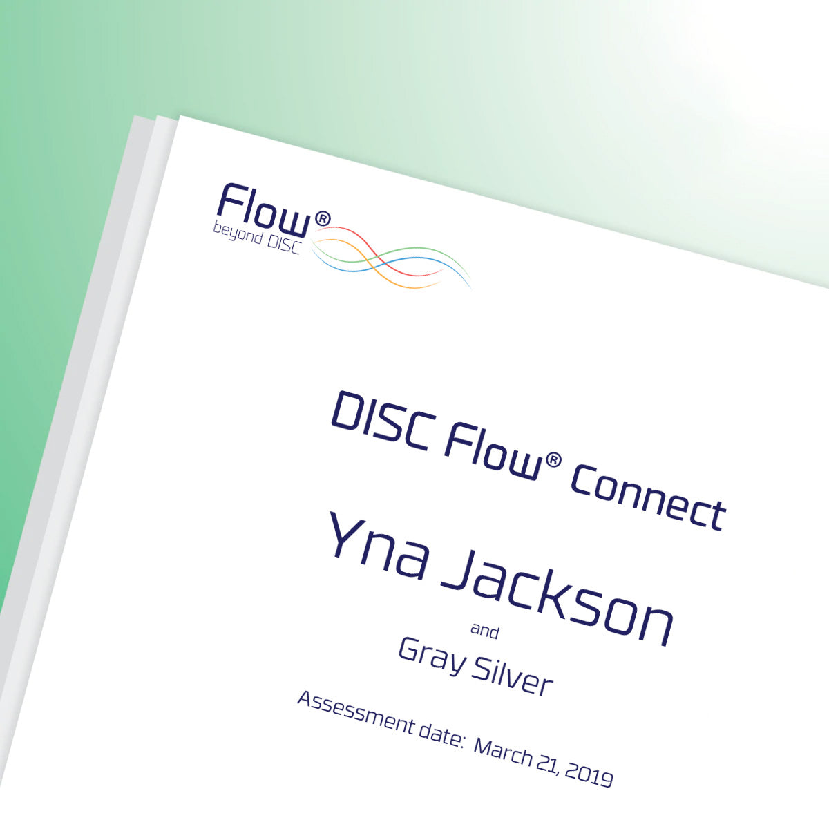 DISC Flow® CONNECT Report